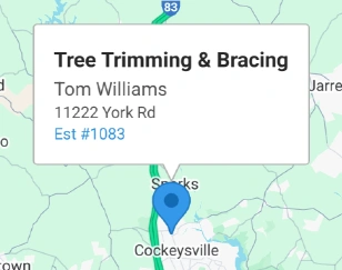 Access Approved Estimate Details