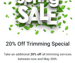 Advertise Sales & Incentives